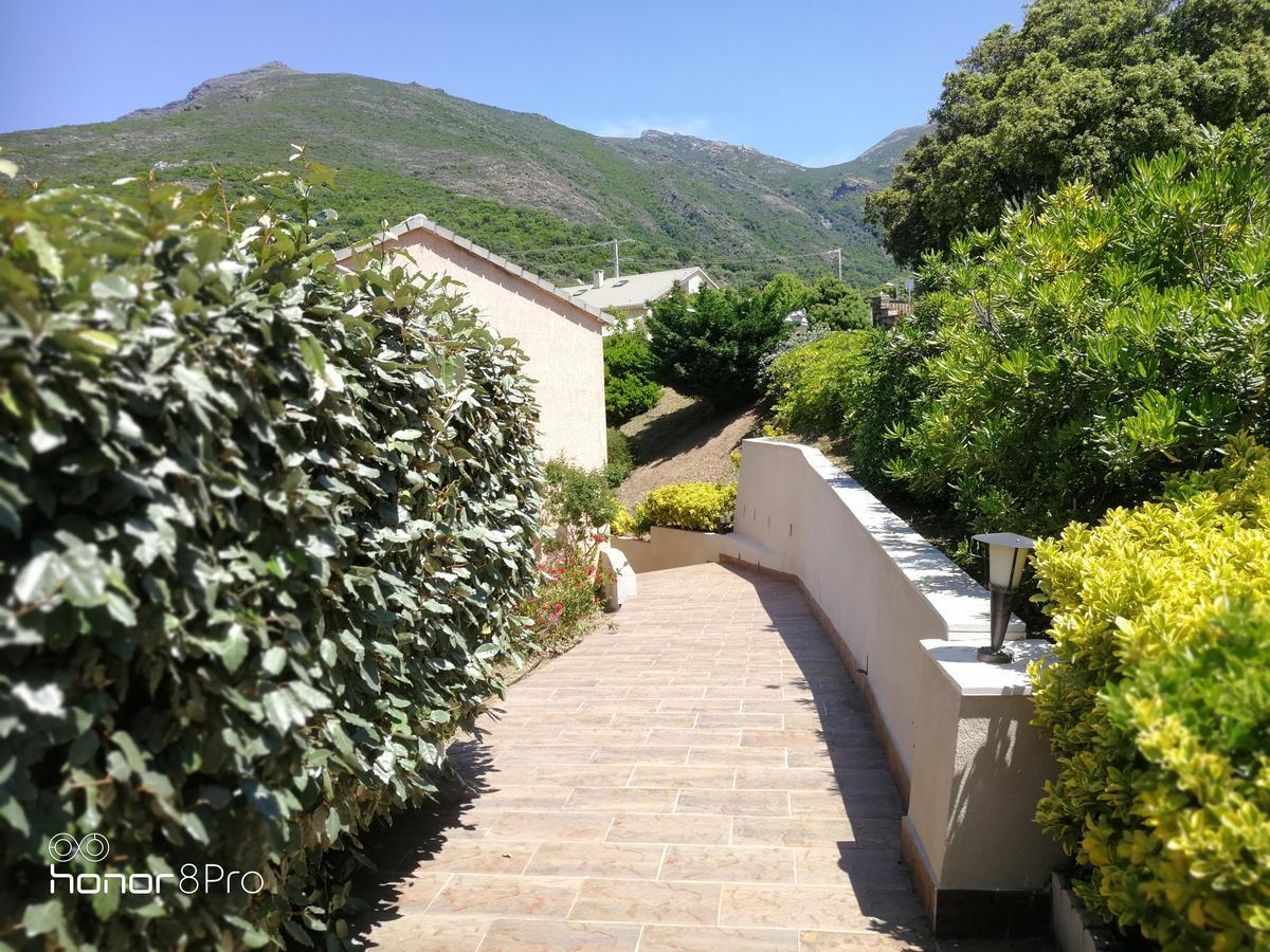 U San Daniellu Villas Et Chambres Farinole Extérieur photo