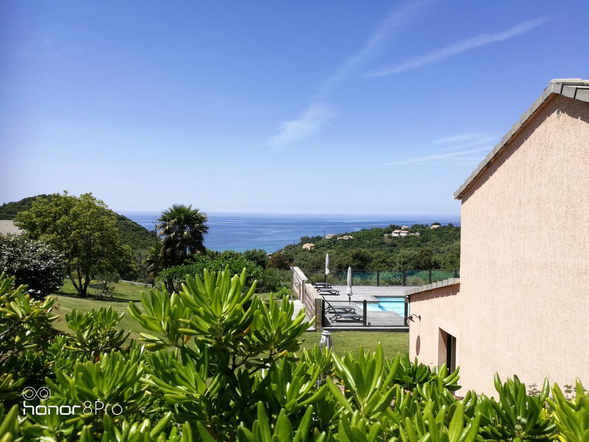 U San Daniellu Villas Et Chambres Farinole Extérieur photo